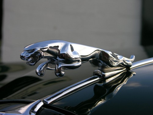 La marca premium Jaguar, advierte afectaciones.